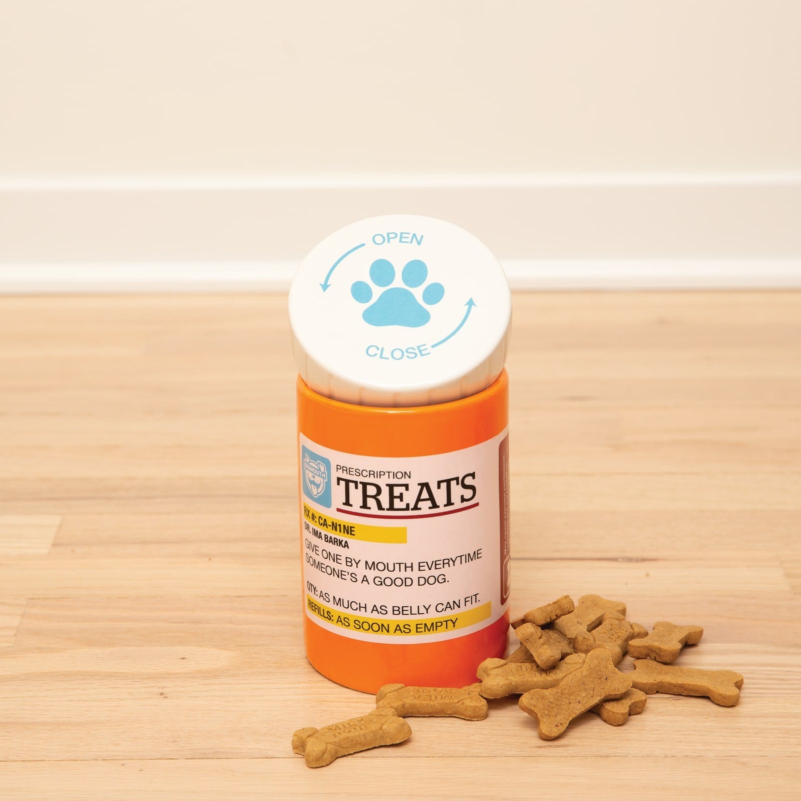 BigMouth Inc Home & Party | BigMouth Pets "Prescription" Treat Jar