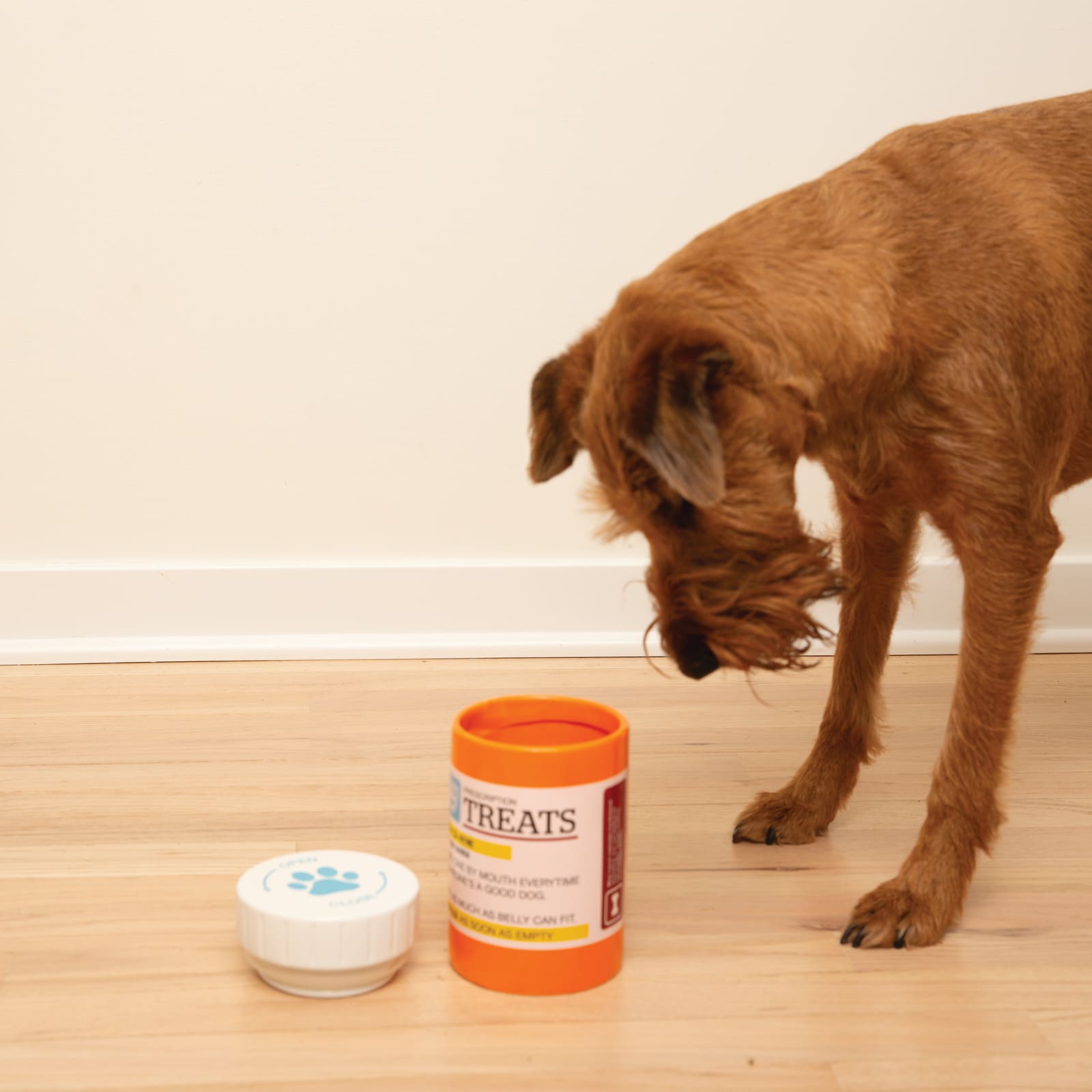BigMouth Inc Home & Party | BigMouth Pets "Prescription" Treat Jar