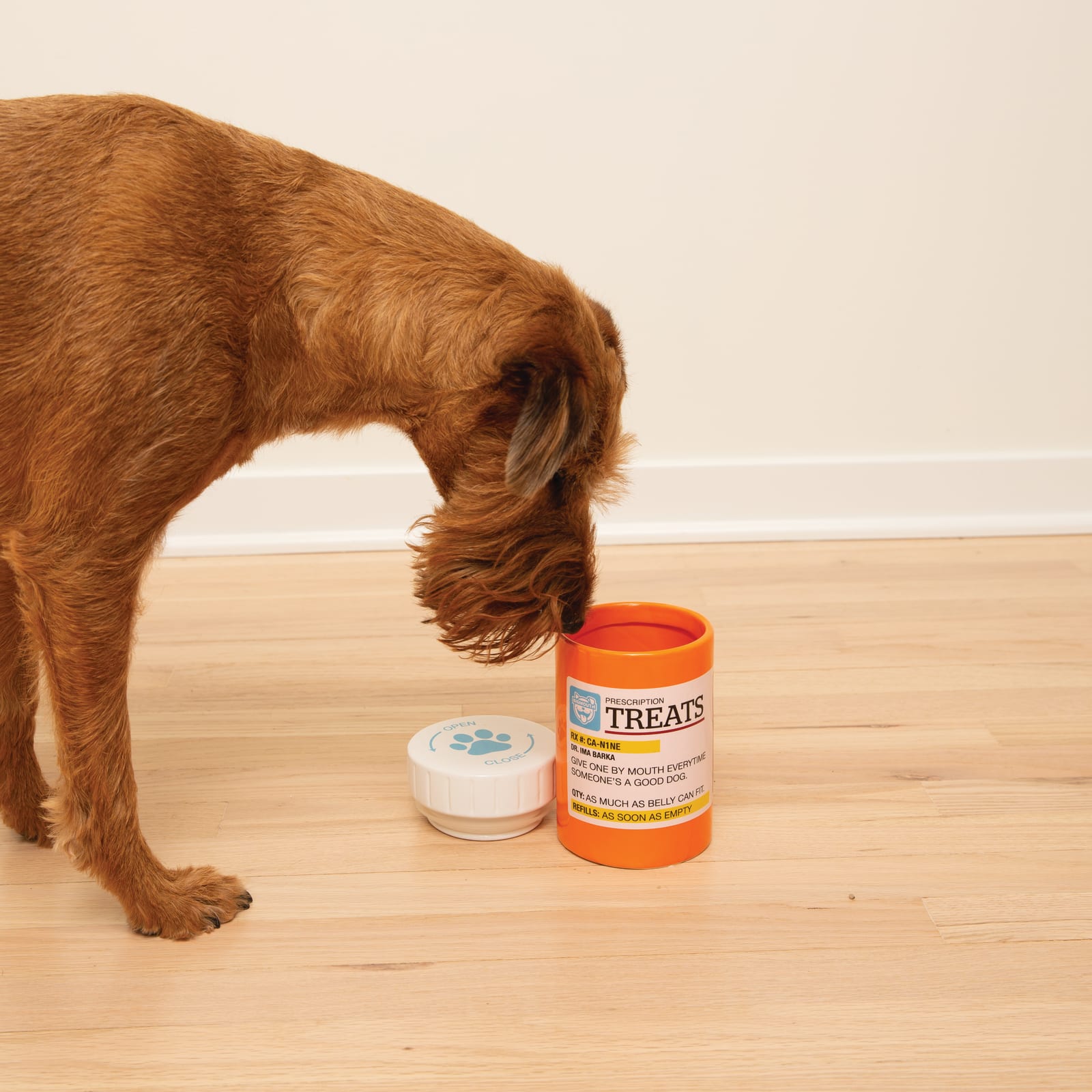 BigMouth Inc Home & Party | BigMouth Pets "Prescription" Treat Jar