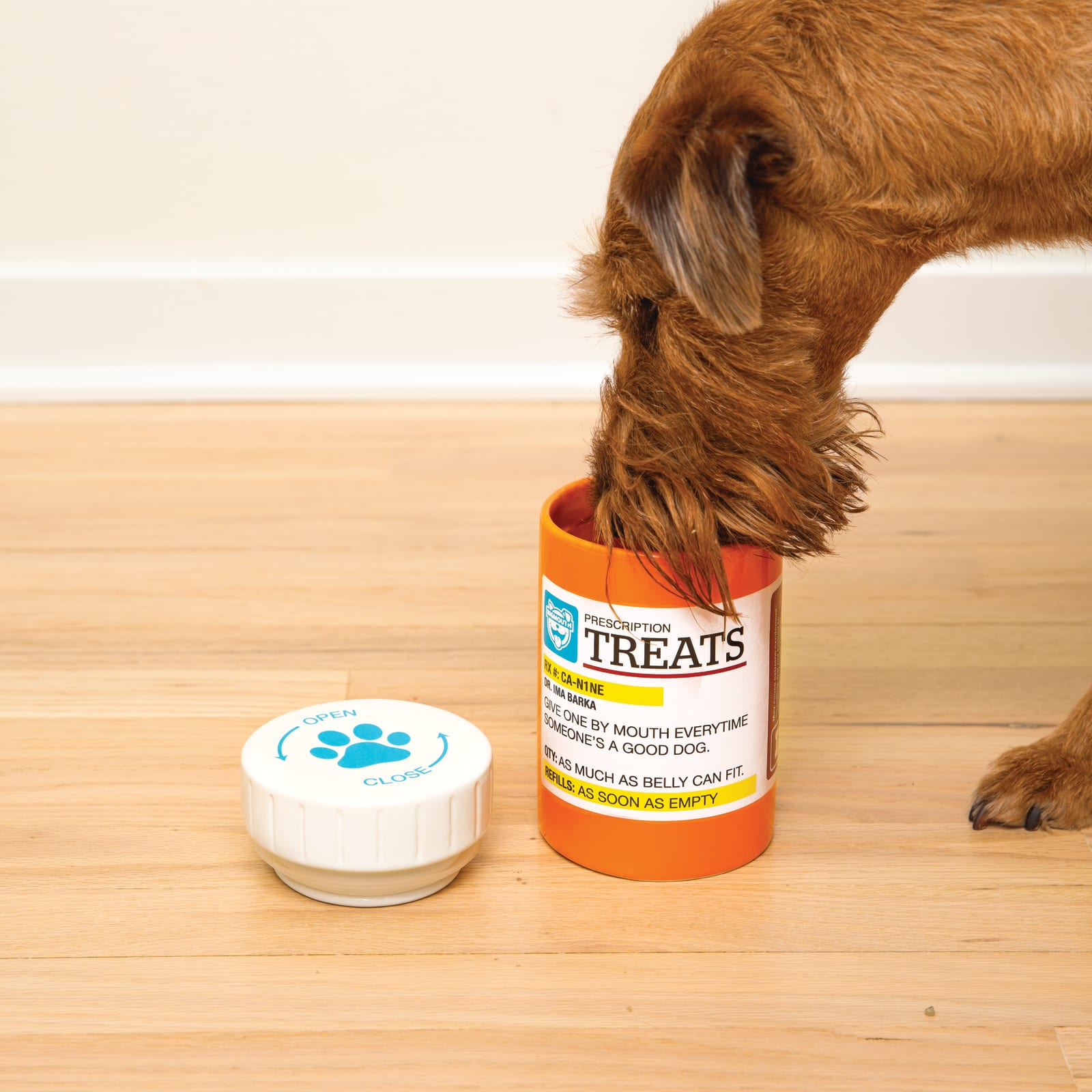 BigMouth Inc Home & Party | BigMouth Pets "Prescription" Treat Jar