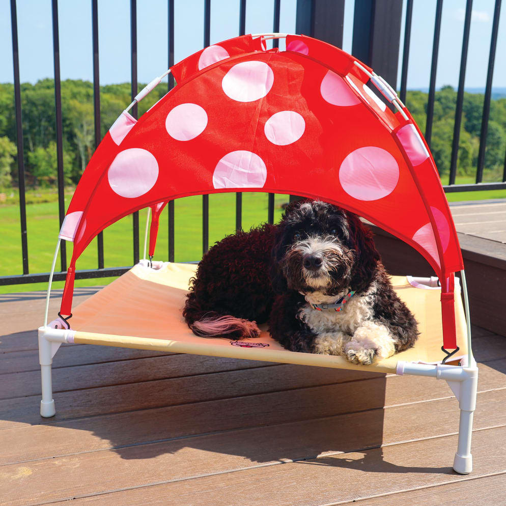 BigMouth Inc Home & Party | BigMouth Pets Mushroom Canopy Bed