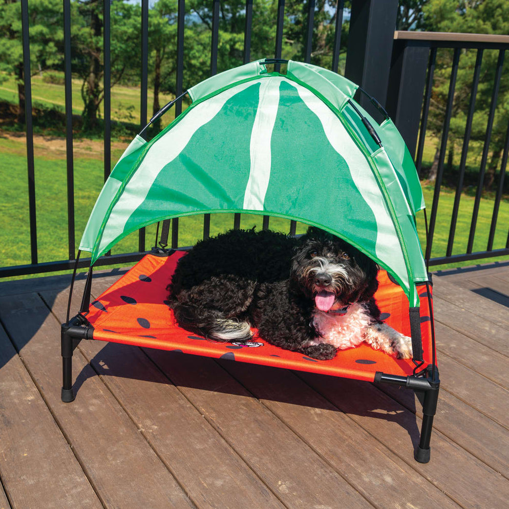 BigMouth Inc Home & Party | BigMouth Pets Watermelon Canopy Bed