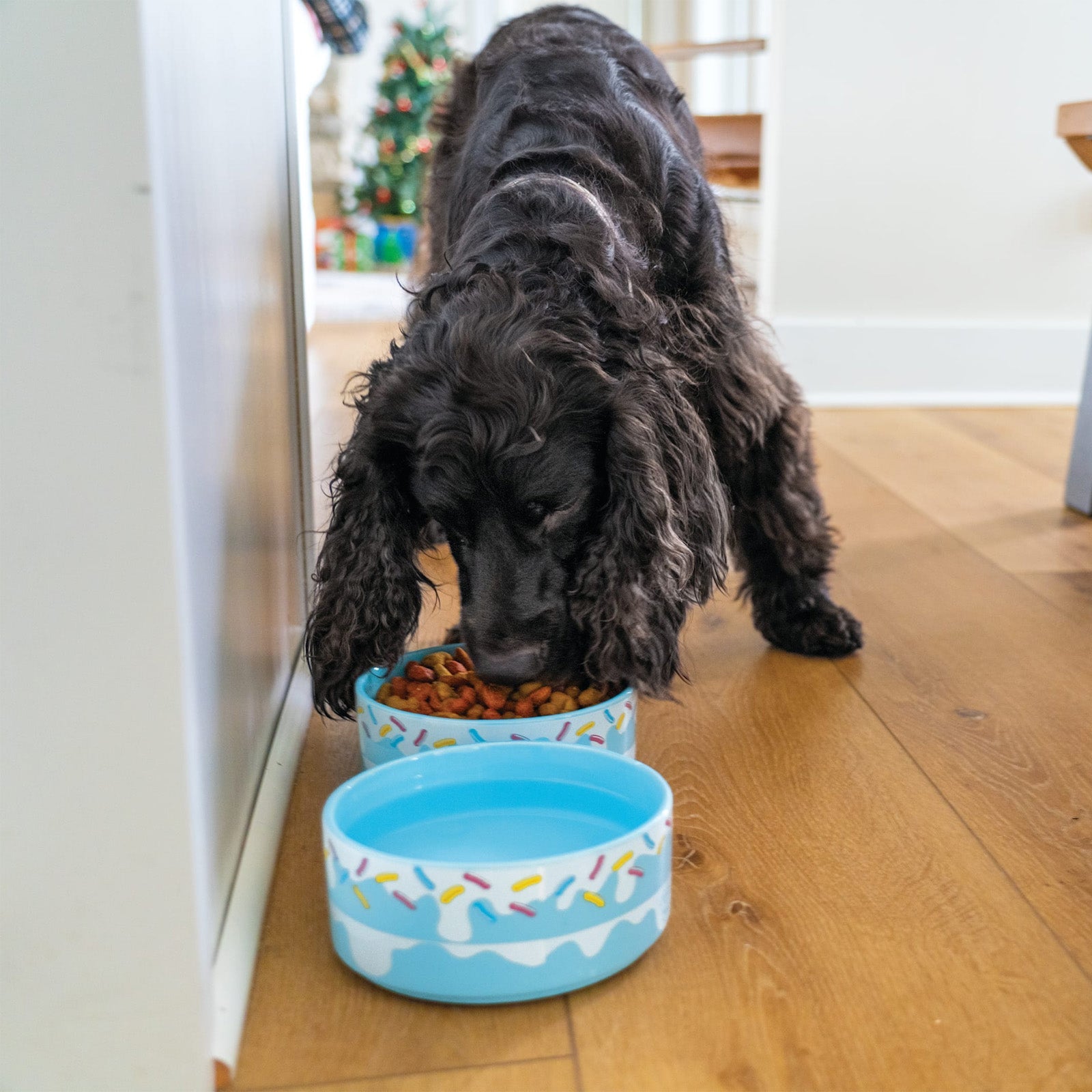 BigMouth Inc Home & Party | Sweet Spot Stacking Pet Bowls