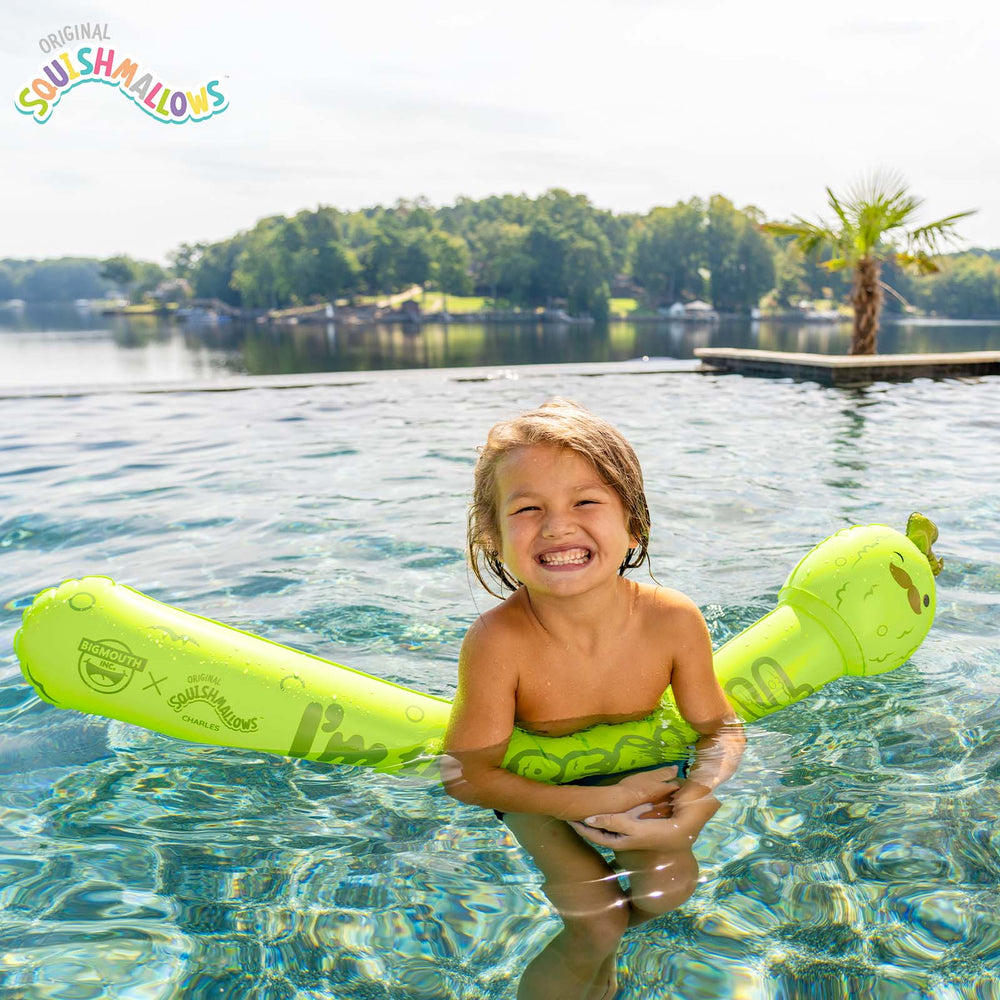 BigMouth Inc Pool|Collabs | Squishmallows Charles the Pickle Pool Noodle